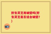 野生灵芝用破壁吗(野生灵芝是否适合破壁？)