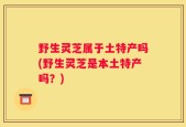 野生灵芝属于土特产吗(野生灵芝是本土特产吗？)