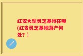 红安大型灵芝基地在哪(红安灵芝基地落户何处？)