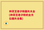 种灵芝孢子粉图片大全(种灵芝孢子粉的全方位图片合集)