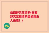 岳西野灵芝收购(岳西野灵芝被收购后的新主人是谁？)