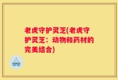 老虎守护灵芝(老虎守护灵芝：动物和药材的完美结合)