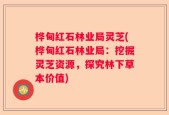 桦甸红石林业局灵芝(桦甸红石林业局：挖掘灵芝资源，探究林下草本价值)