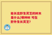 能长出野生灵芝的树木是什么(哪种树 可在野外生长灵芝？