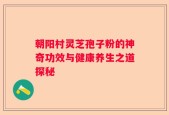 朝阳村灵芝孢子粉的神奇功效与健康养生之道探秘