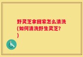 野灵芝拿回家怎么清洗(如何清洗野生灵芝？)