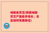 城固县灵芝(陕西城固灵芝产值稳步增长，走出独特发展路径)