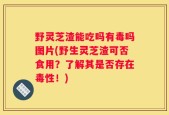 野灵芝渣能吃吗有毒吗图片(野生灵芝渣可否食用？了解其是否存在毒性！)