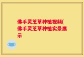 佛手灵芝草种植视频(佛手灵芝草种植实景展示