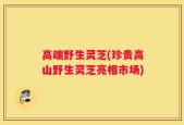 高端野生灵芝(珍贵高山野生灵芝亮相市场)