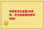 鸡骨草灵芝桑葚(鸡骨草、灵芝和桑葚的神奇效益)