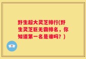野生超大灵芝排行(野生灵芝巨无霸排名，你知道第一名是谁吗？)