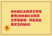 米林县红太阳灵芝养殖基地(米林县红太阳灵芝养殖基地：种出高品质灵芝的秘诀)