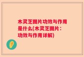 木灵芝图片功效与作用是什么(木灵芝图片：功效与作用详解)