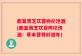 鹿茸灵芝苁蓉枸杞泡酒(鹿茸灵芝苁蓉枸杞泡酒：草本营养好滋补)