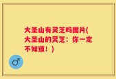 大圣山有灵芝吗图片(大圣山的灵芝：你一定不知道！)