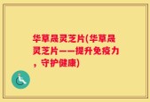 华草晟灵芝片(华草晟灵芝片——提升免疫力，守护健康)