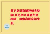 灵芝卓玛直播视频完整版(灵芝卓玛直播完整视频：探索高原自然生态)