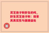 灵芝孢子粉野生的吗_野生灵芝孢子粉：探索其真实性与健康益处