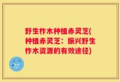 野生柞木种植赤灵芝(种植赤灵芝：振兴野生柞木资源的有效途径)