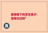 显微镜下的灵芝孢子：发现它们的”