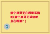 静宁县灵芝在哪里采摘的(静宁县灵芝采摘地点在哪里？)