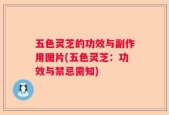 五色灵芝的功效与副作用图片(五色灵芝：功效与禁忌需知)