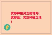 武陟种植灵芝的地方(武陟县：灵芝种植之地)