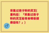采集过孢子粉的灵芝(重构后：「采集过孢子粉的灵芝能带来哪些健康益处？」)