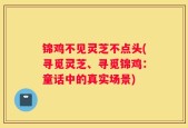 锦鸡不见灵芝不点头(寻觅灵芝、寻觅锦鸡：童话中的真实场景)