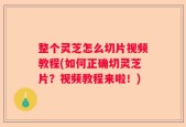 整个灵芝怎么切片视频教程(如何正确切灵芝片？视频教程来啦！)