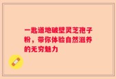 一匙道地破壁灵芝孢子粉，带你体验自然滋养的无穷魅力