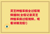 灵芝种植采摘全过程视频播放(全程记录灵芝种植采摘过程视频，观看详细流程!)