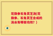 花旗参石角灵芝汤(花旗参、石角灵芝合成的汤水有哪些功效？)