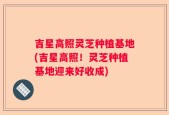 吉星高照灵芝种植基地(吉星高照！灵芝种植基地迎来好收成)