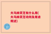 大马蹄灵芝有什么用(大马蹄灵芝功效及用途概述)