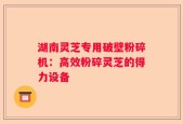 湖南灵芝专用破壁粉碎机：高效粉碎灵芝的得力设备