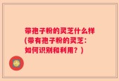 带孢子粉的灵芝什么样(带有孢子粉的灵芝：如何识别和利用？)