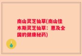 南山灵芝仙草(南山佳木斯灵芝仙草：惠及全国的健康秘药)