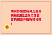 如何养殖盆栽灵芝菌苗视频教程(盆栽灵芝菌苗的简易养殖教程视频)