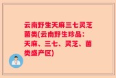 云南野生天麻三七灵芝菌类(云南野生珍品：天麻、三七、灵芝、菌类盛产区)