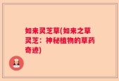 如来灵芝草(如来之草灵芝：神秘植物的草药奇迹)