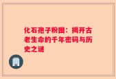化石孢子粉图：揭开古老生命的千年密码与历史之谜