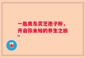 一匙奥东灵芝孢子粉，开启你未知的养生之旅”
