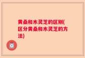 黄桑和木灵芝的区别(区分黄桑和木灵芝的方法)