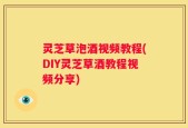 灵芝草泡酒视频教程(DIY灵芝草酒教程视频分享)
