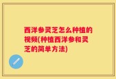 西洋参灵芝怎么种植的视频(种植西洋参和灵芝的简单方法)