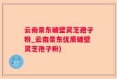 云南景东破壁灵芝孢子粉_云南景东优质破壁灵芝孢子粉)