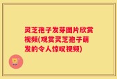 灵芝孢子发芽图片欣赏视频(观赏灵芝孢子萌发的令人惊叹视频)