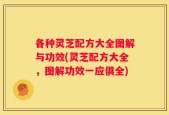 各种灵芝配方大全图解与功效(灵芝配方大全，图解功效一应俱全)